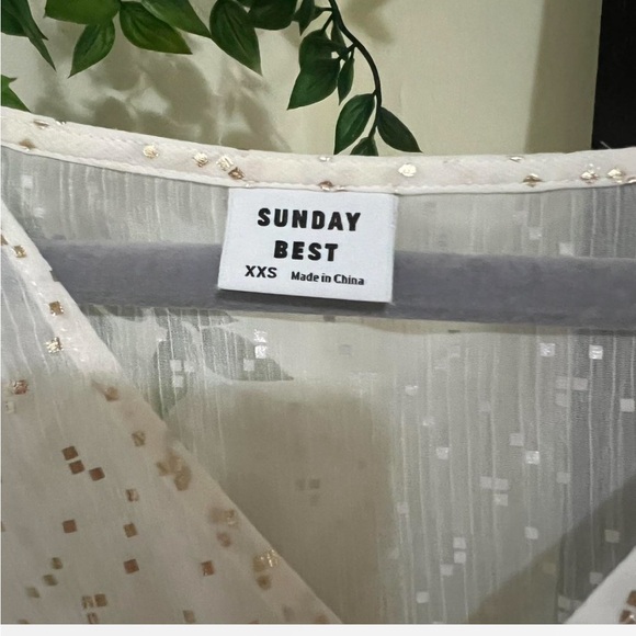 Aritzia Sunday Best Glitter Sheer Top - Picture 5 of 6